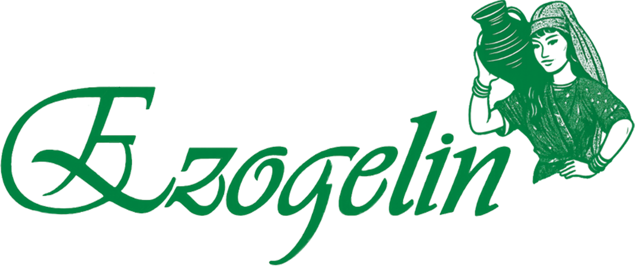 Uşak Ezogelin Logo